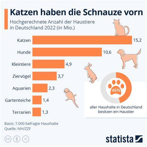 Infografik: Nährstoffanforderungen von Katzen und Beispielzutaten