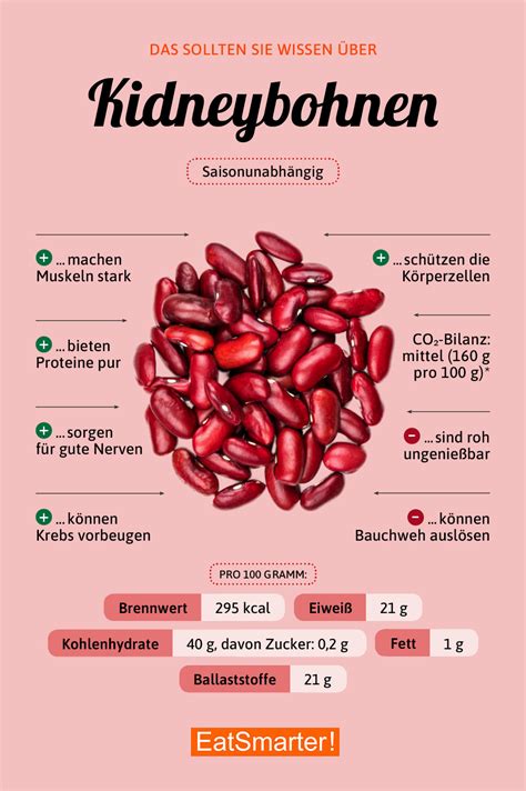Infografik: Nährstoffe der Kidneybohnen (Magnesium, Ballaststoffe, Eiweiß)
