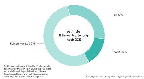 Infografik: Nährstoffverteilung eines Sahnetortenstücks