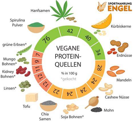 Infografik: Nährwerte High-Protein-Pudding vs. natürliche Proteinquellen