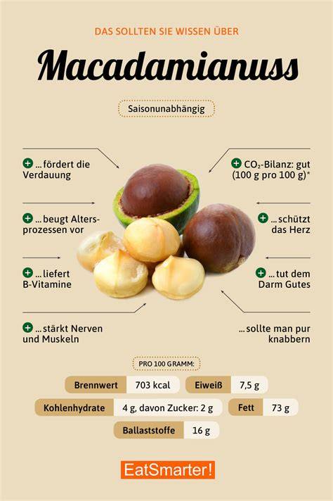 Infografik: Nährwerte Macadamia Nuss