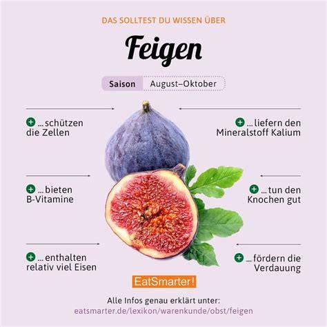 Infografik: Nährwerte und Vorteile der Feige