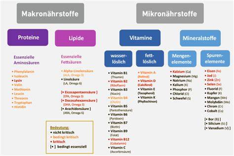 Infografik: Nährwerte und essentielle Mikronährstoffe (Eisen, Carotinoide)