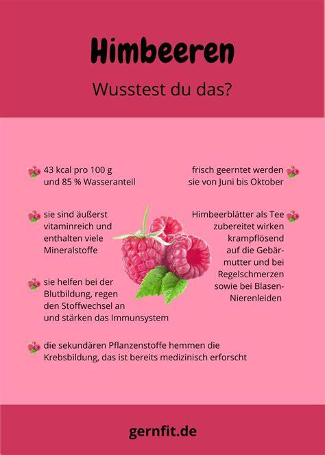Infografik: Nährwerte und gesundheitliche Vorteile von Himbeeren und Kokos