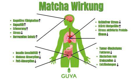 Infografik: Nährwerte und gesundheitsfördernde Eigenschaften von Matcha Schokolade