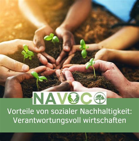 Infografik: Nachhaltigkeit und soziale Verantwortung bei Hachez