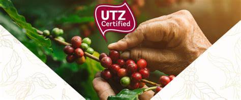 Infografik: Nachhaltigkeitslabel UTZ & Fairtrade