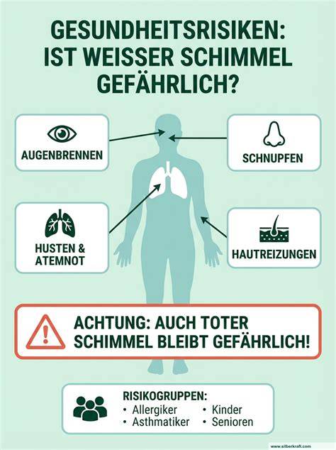 Infografik: Natriumphosphate Einsatz und Gesundheitsrisiken