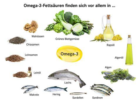Infografik: Omega-3-Fettsäuren im Lachs und ihre gesundheitlichen Vorteile