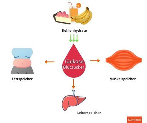 Infografik: Osmotische Wirkung von Zucker im Blut