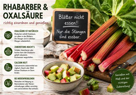 Infografik: Oxalsäure im Rhabarber und kalziumreiche Begleiter