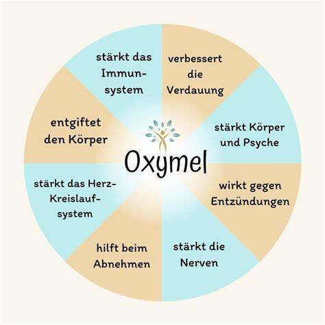 Infografik: Oxymel-Sorten und ihre Wirkung