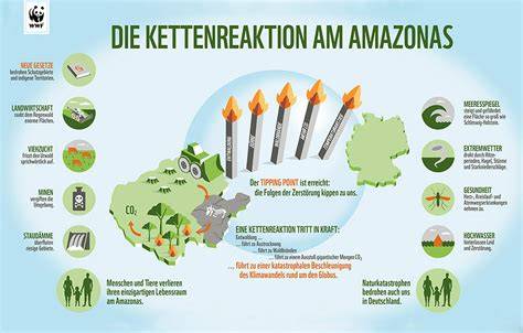Infografik: Palmöl‑Anbau, Regenwaldverlust und Auswirkungen