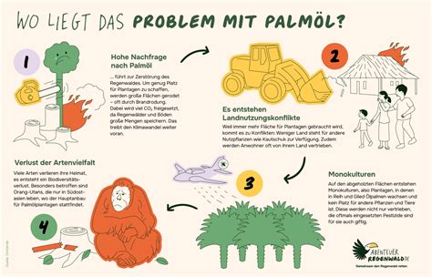 Infografik: Palmöl‑Kette und Folgen für Regenwald und Klima