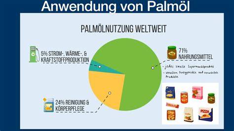 Infografik: Palmöl-Anbau und Umweltauswirkungen