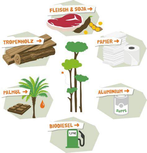 Infografik: Palmölproduktion und ihre Auswirkungen auf tropische Regenwälder