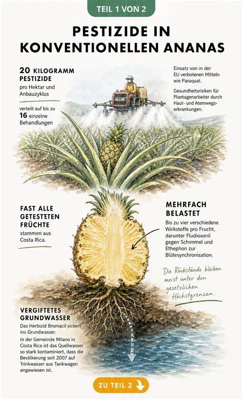 Infografik: Pestizide im Honig, Glyphosat-Anteile und Anteile weiterer Wirkstoffe