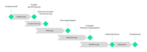 Infografik: Phasen des Rhabarberschälen und -schneidens