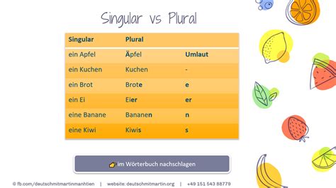 Infografik: Pluralbildung und Kasus von „Schokolade“ (Singular vs. Plural, Artikel und Endungen)