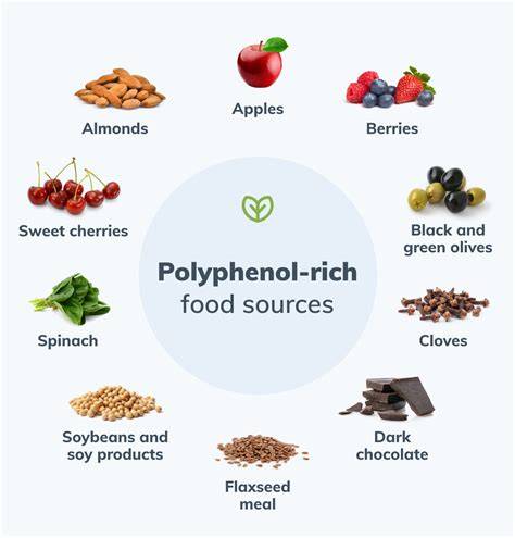 Infografik: Polyphenole und antioxidative Wirkung von dunklen Honigen