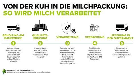 Infografik: Prozess der Arbeitgebermarkenentwicklung bei milch & zucker