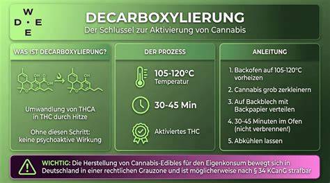 Infografik: Prozess von Decarboxylierung, Infusion in Butter/Öl, Teig, Backen, Lagerung
