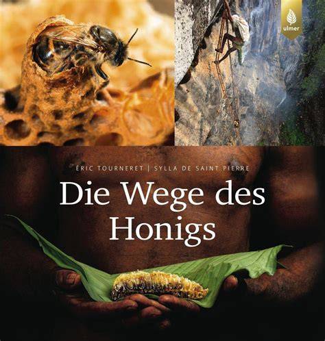 Infografik: Qualitätsmerkmale und Wege naturreinen Honigs