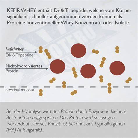 Infografik: Quark-Ersatz und Proteinvergleich