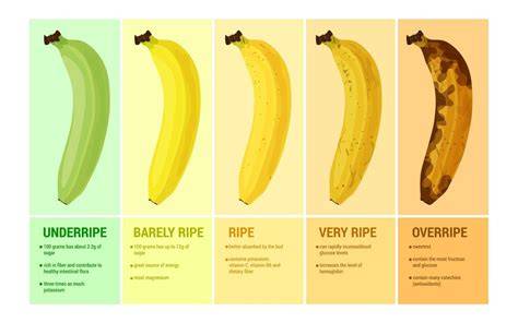 Infografik: Reifegrad der Bananen und Einfluss auf Konsistenz und Süße der Marmelade