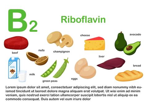 Infografik: Riboflavin in der Ernährung