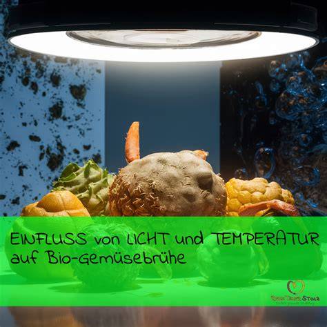 Infografik: Richtige Lagerung von Manuka-Honig und Einfluss von Temperatur auf MGO
