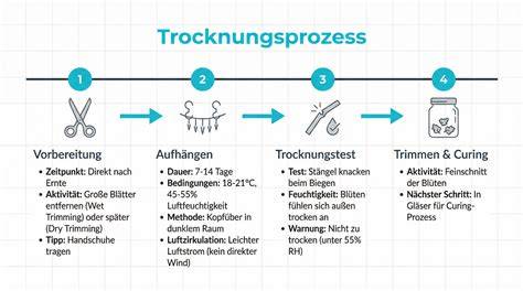 Infografik: Richtige Lagerung von Pralinen (kühl, trocken, lichtgeschützt)