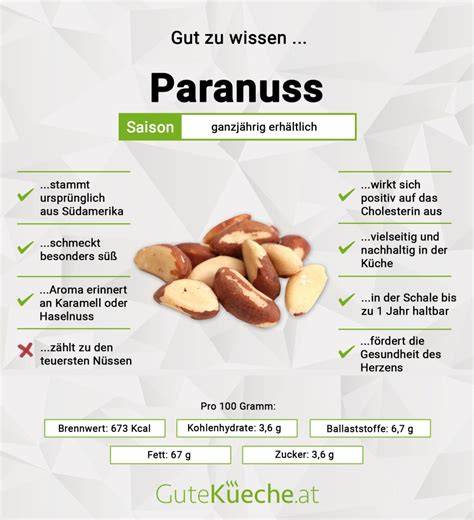 Infografik: Risiken und Nährstoffe der Paranuss (Selen, Radium, Barium, Aflatoxine)