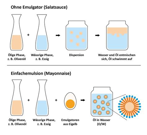 Infografik: Rolle von Lecithin als Emulgator und Mehlbehandlungsmittel in Keksen