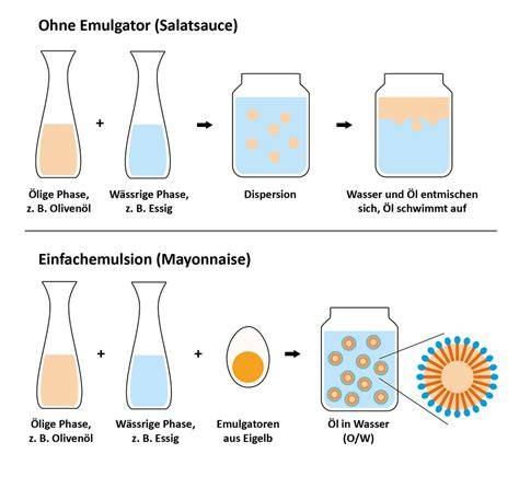 Infografik: Rolle von Lecithin als Emulgator und Nährstoffträger