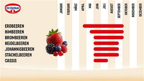 Infografik: Saisonkalender für Beeren (Himbeeren, Brombeeren, Johannisbeeren, Heidelbeeren)