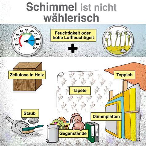Infografik: Schimmelentstehung und sichere Marmeladenlagerung
