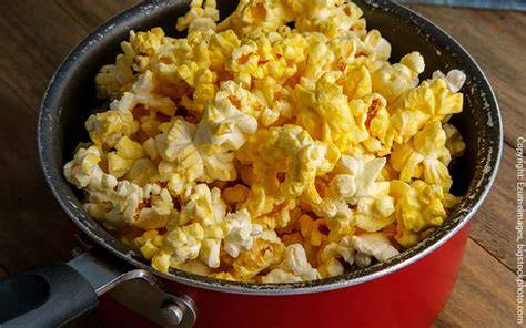 Infografik: Schritt-für-Schritt Popcorn im Topf zubereiten
