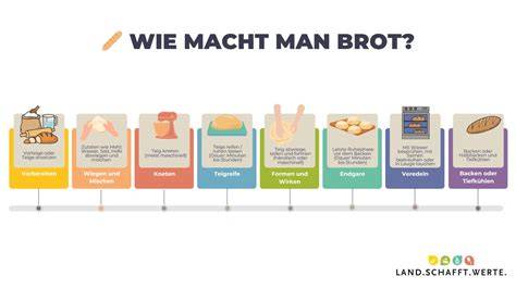 Infografik: Schritt-für-Schritt Wandlung vom Teig zum Hörnchen