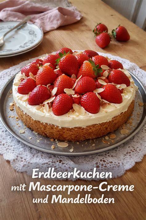 Infografik: Schritte der Zubereitung (Mandelboden, Biskuit, Fruchtspiegel, Creme)