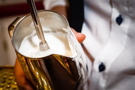 Infografik: Schritte zum perfekten Milchschaum (Ziehphase, Rollphase, Temperaturpunkt 65°C)
