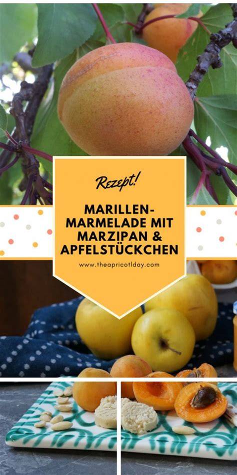 Infografik: Schritte zur Herstellung von Marillenmarmelade mit Marzipan