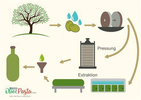 Infografik: Schritte zur Herstellung von Marzipan-Bienen und -Blüten