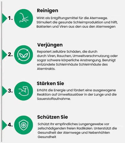 Infografik: Schutzfunktion von Schleim in Atemwegen und Verdauungstrakt