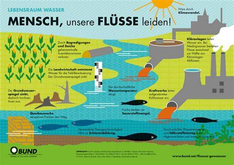 Infografik: Sechs Themenfelder - Biodiversität, Wasser, Anbau, Klima, Abfall, Soziales