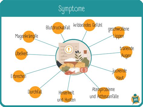 Infografik: Symptome einer Nahrungsmittelallergie (Schwellung, Atemnot, Magen‑Darm)
