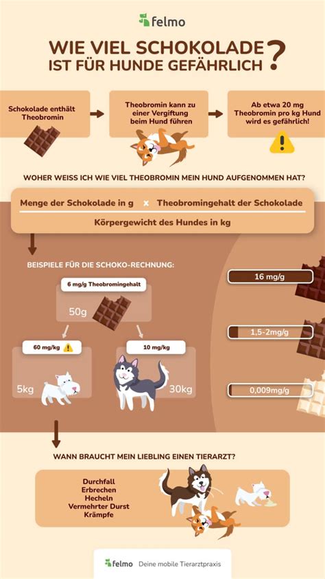 Infografik: Theobromin in Schokoladensorten und Risiko für Katzen