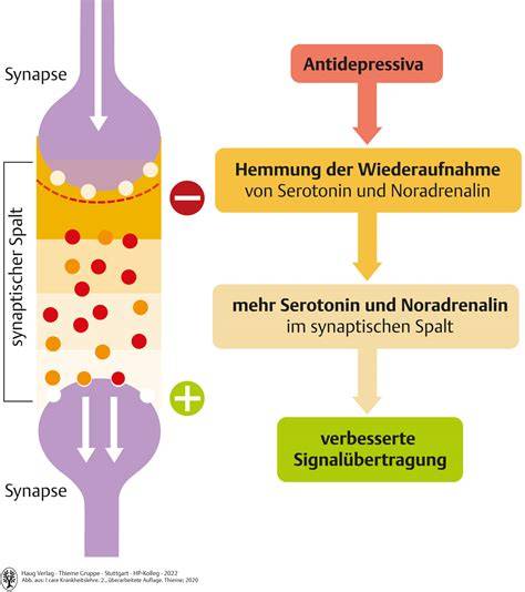 Infografik: Thymoquinon und Wirkmechanismen