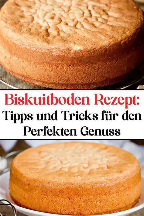 Infografik: Tipps für den perfekten Biskuitboden