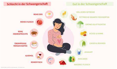 Infografik: Tipps für sicheres Essen in der Schwangerschaft